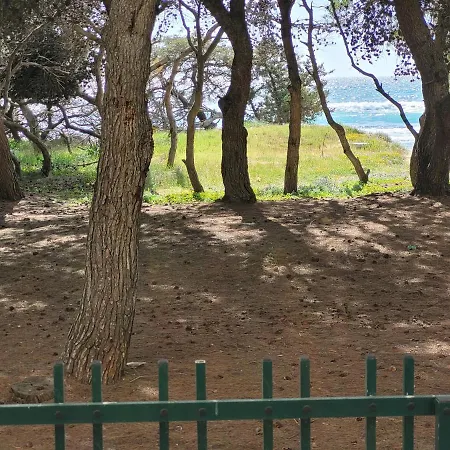 Appartamento Fronte Pineta Mare Rivabella Esterno foto