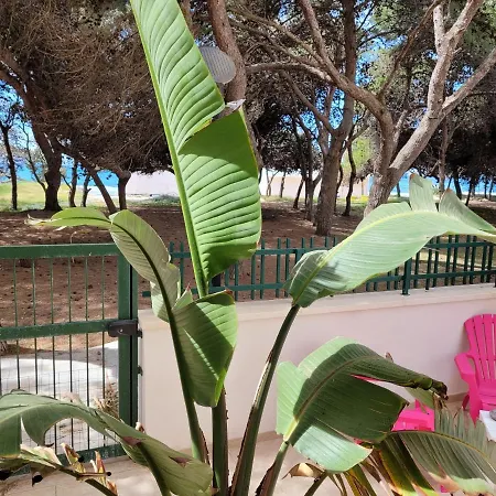 Appartamento Fronte Pineta Mare Rivabella Esterno foto
