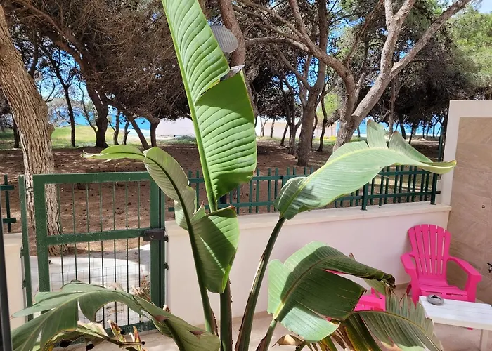 Fronte Pineta Mare Rivabella