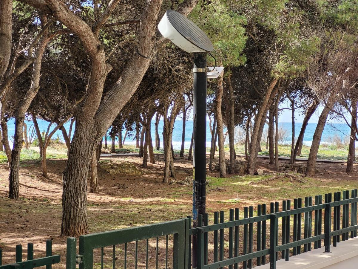Fronte Pineta Mare Apartment *