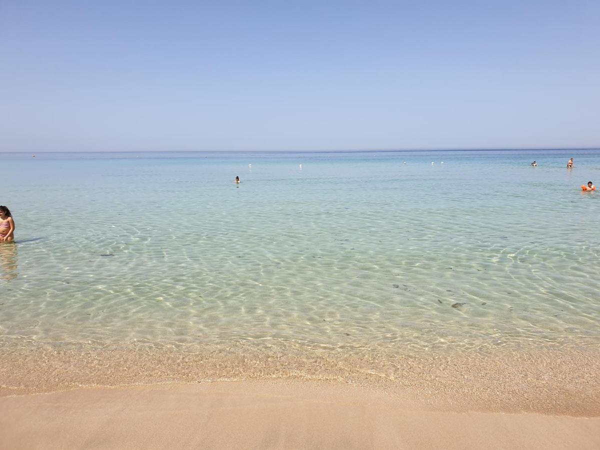 Fronte Pineta Mare